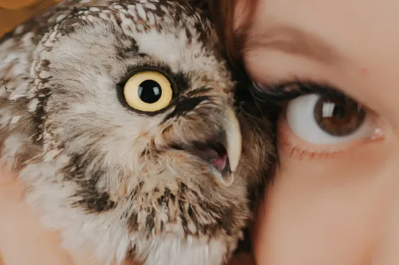 בועבוע קזינו תמיכה